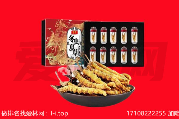 博爱县回收虫草.jpg